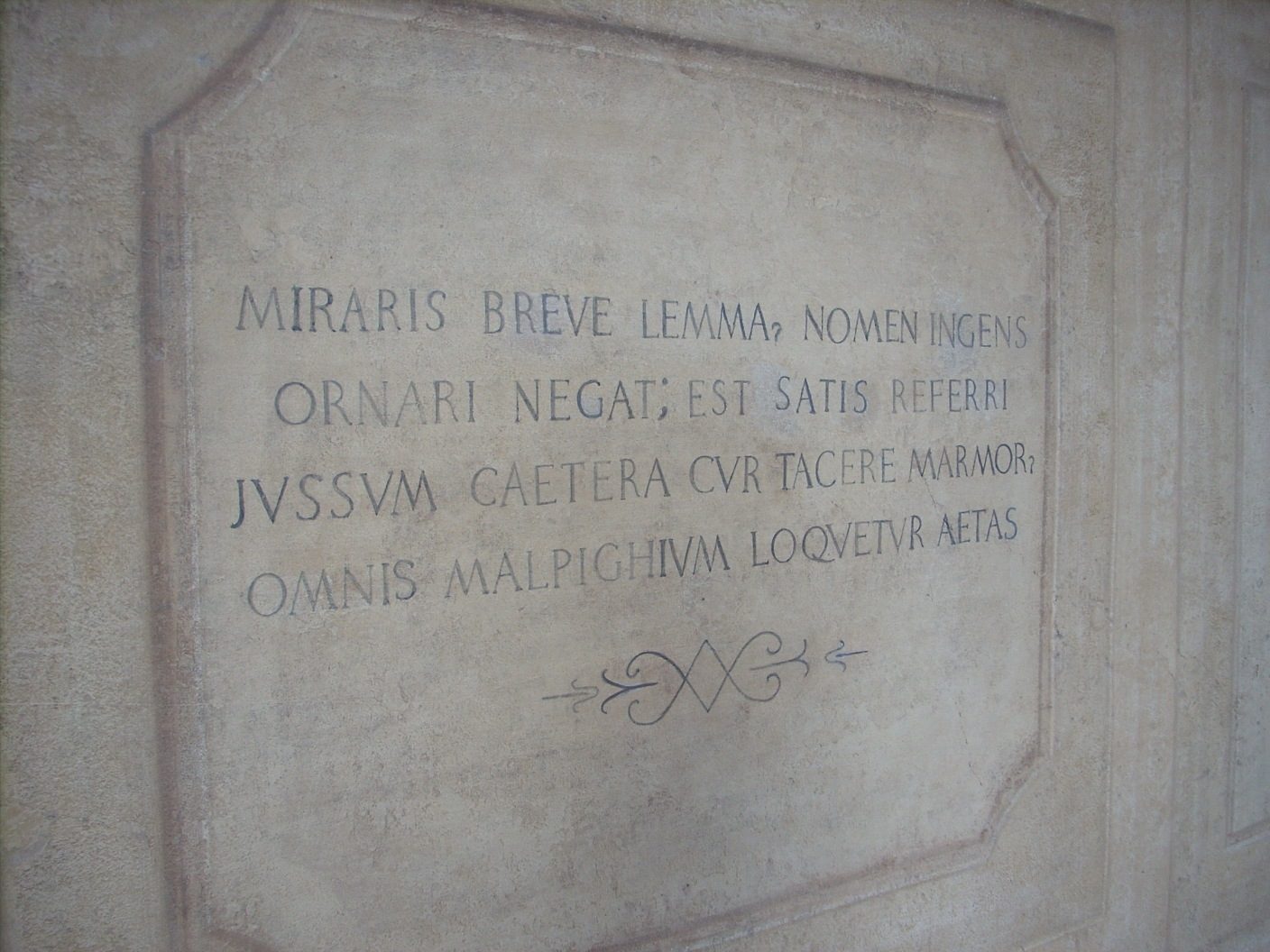 Marcello Malpighi's memorial, Palazzo dell'Archiginnasio, Bologna - 03.JPG